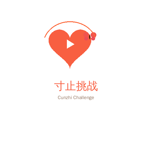寸止挑战